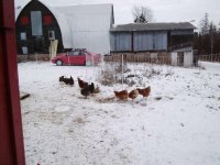 winter3.jpg