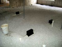2010-08-08_0022.JPG