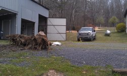 stump1 (640x383).jpg