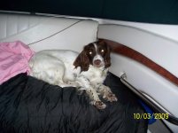 Picture 010.jpg