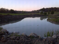 ForumRunner_20120506_203226.png