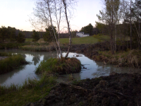 ForumRunner_20120506_203247.png