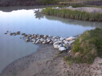 ForumRunner_20120506_203305.png