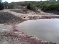 beforefertilizer_r.jpg