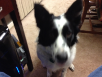 image-826662562.png