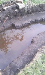 IMAG0298 (Medium).jpg