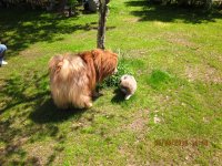 IMG_0006.jpg