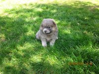 IMG_0009.jpg