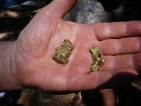 P1190706rGoldNuggets2008.JPG