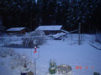 Snow2012 026.jpg
