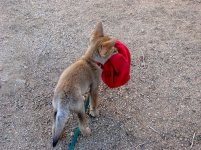 DSC07923.jpg