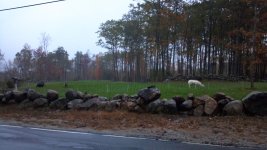 2011-10-13_18-00-58_766.jpg