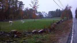 2011-10-13_17-59-25_99[1].jpg