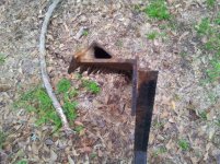 20120314_081342.jpg