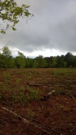 field.JPG