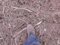 mulch size (Small).jpg