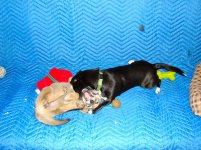 DSC08270.jpg