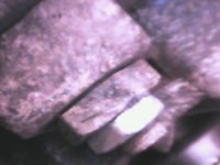 DIGI0003.JPG