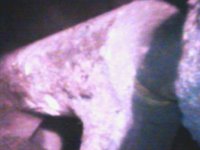 DIGI0006.JPG