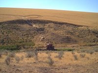 364321-combine3.jpg