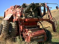 364323-combine.jpg