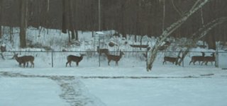 364429-IMG_1147.JPG