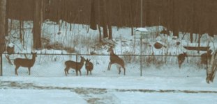 364431-IMG_1150.JPG