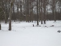 364540-IM000026.JPG