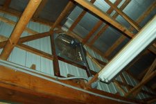 365043-Fan.JPG