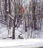 365252-hill1.jpg