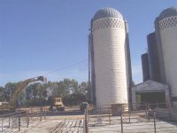 413593-11 (Medium).jpg