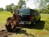 457900-stump1.JPG