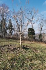 365710-Hilltop.JPG