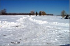 675574-Driveway.jpg