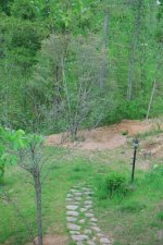 414123-path.JPG