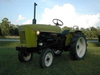 366458-Green 1700.JPG
