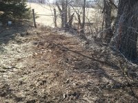 2012-02-27 12.41.09.jpg