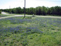 BB2012-02.jpg