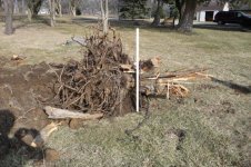 stump3.jpg
