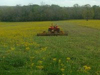 rear view of mowing with batwing.JPG