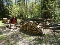 FireWoodPile.JPG