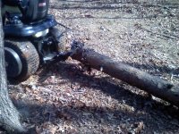 Dragging the Logs out.jpg