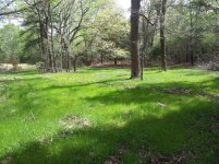 cleanup to new pond.jpg