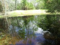small pond make-over2.jpg