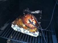Turkey and cats etc 028 (1280x956).jpg