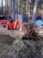 stump pulled using ripper.jpg