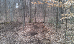 ForumRunner_20120214_155328.png