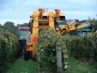 Mark Martain's harvester 018.jpg