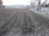 Garden 3-12-12 001 (1280x960).jpg