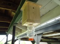 Carpenter Bee Trap 001.jpg
